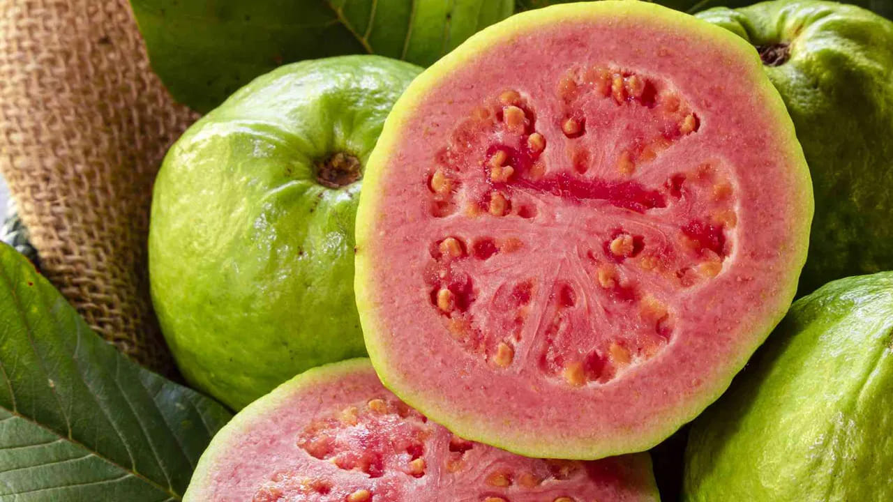 పింక్ జామకాయ లోపల గులాబీ రంగు గుజ్జు ఉంటుంది. వీటిలో విటమిన్ Cతో పాటు లైకోపీన్ అనే యాంటీఆక్సిడెంట్ అధికంగా ఉంటుంది. ఇది టమాటాలో ఉండే దాని కంటే కూడా ఎక్కువ. లైకోపీన్ క్యాన్సర్ నిరోధక లక్షణాలకు ప్రసిద్ధి. పింక్ జామ రుచి చాలా తీపిగా, సువాసన ఘాటుగా ఉంటుంది. వీటిలో గింజలు తక్కువ, కండ ఎక్కువగా ఉండటం వల్ల జ్యూస్లు, స్మూతీలు, సలాడ్లకు ఇది బెస్ట్ ఆప్షన్.