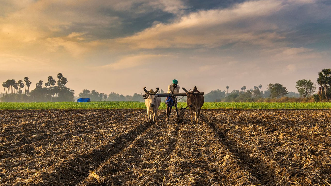 వాయిదా ఎందుకు ఆపివేసింది?: అటువంటి కేసుల భౌతిక ధృవీకరణ జరుగుతుందని ప్రభుత్వం చెబుతోంది. దర్యాప్తు పూర్తయ్యే వరకు తదుపరి విడత ఆ రైతుల ఖాతాలకు జమ కాదని తెలిపింది. పథకం పూర్తి అర్హత ఉన్న వ్యక్తులు మాత్రమే దీని ప్రయోజనం పొందేలా చూడటం దీని ఉద్దేశ్యం.