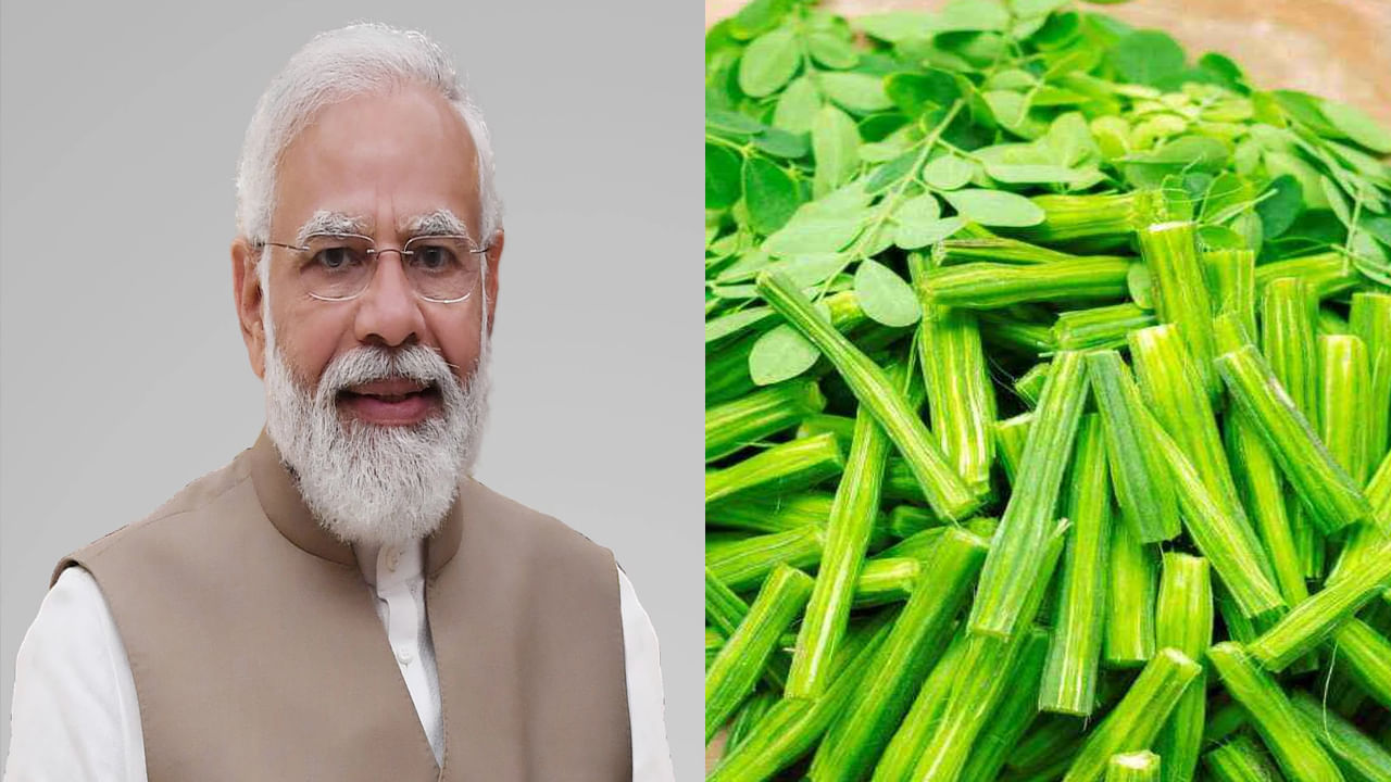 PM Modi: ప్రధాని మోదీకి ఇష్టమైన కూరగాయతో ఈ 15 వ్యాధులకు చెక్.. ఏంటో తెలుసా..?
