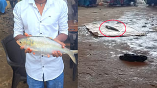 Viral: తన ల్యాప్‌టాప్‌ను పబ్లిక్ మధ్య పెట్టి వెళ్లాడు.. ఏం జరిగిందంటే?