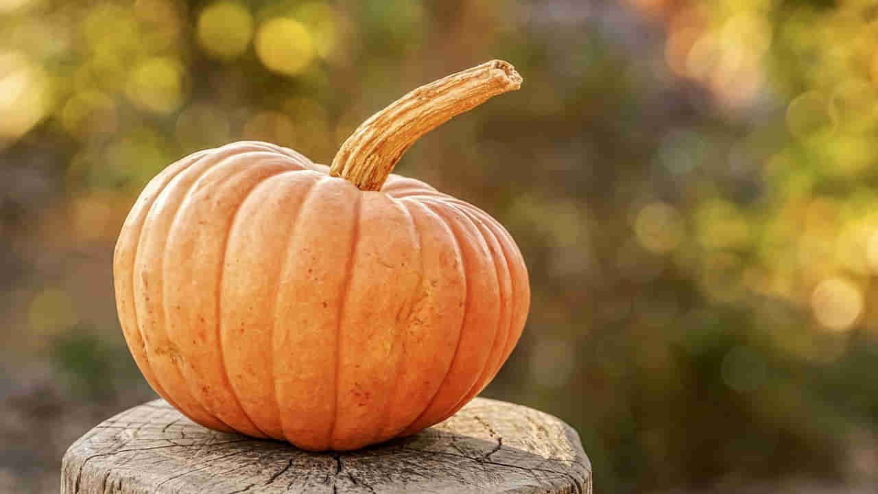 Pumpkin Benefits: దిష్టికాయ కాదు దివ్య ఔషదం.. గుమ్మడి కాయతో టన్నులకొద్ది ఆరోగ్యం..!