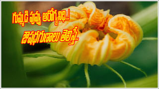 Acidity: గ్యాస్ ట్రబుల్ అసిడిటీ తగ్గాలంటే.. ఇది బెస్ట్‌ హోం రెమిడీ.. లైఫ్‌లో కడుపు మంట పొట్టలో పుండ్లు ఉండవు!