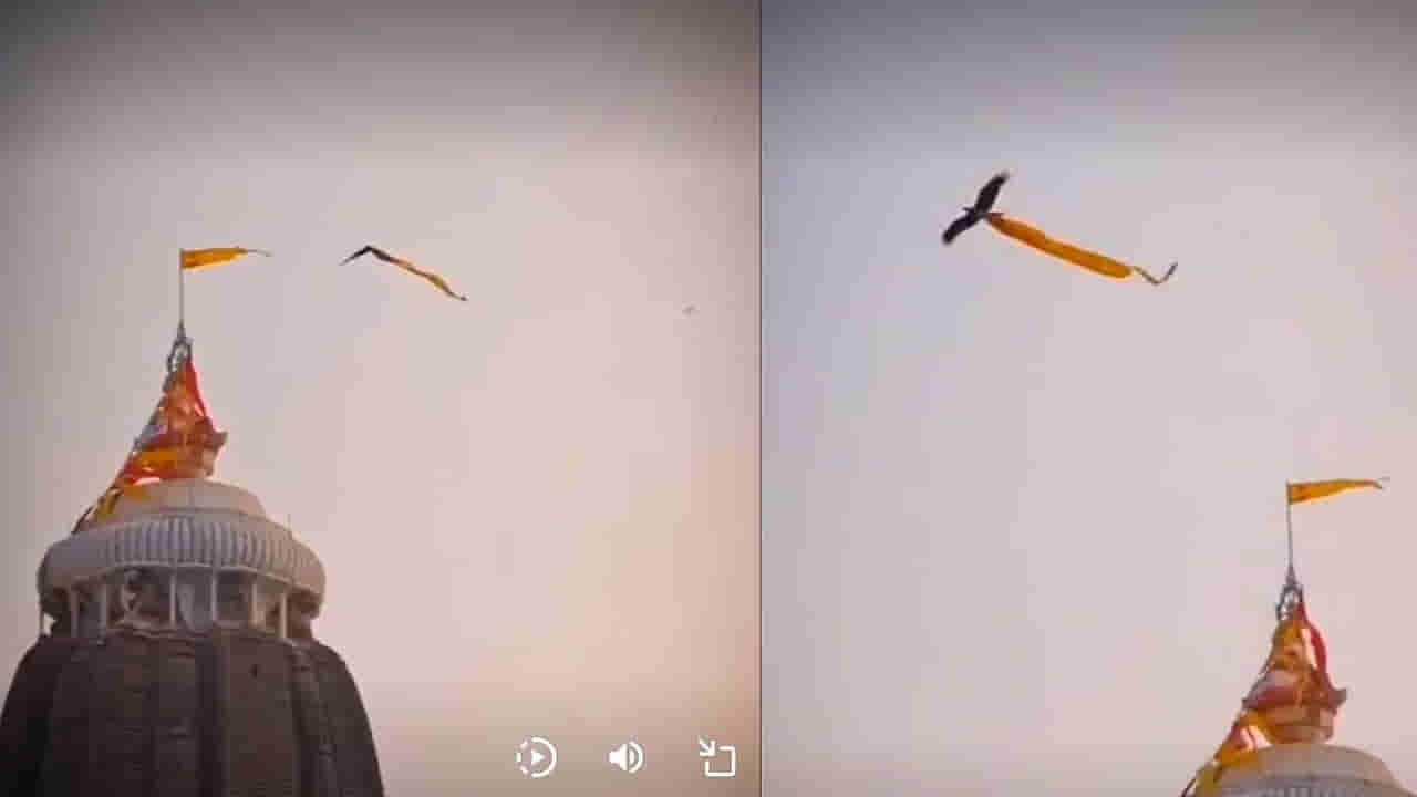 పూరీ ఆలయంలో అద్భుతం.. మరోసారి గోపురం జెండాపై వాలిన గరుడ పక్షి.. నెట్టింట వైరల్