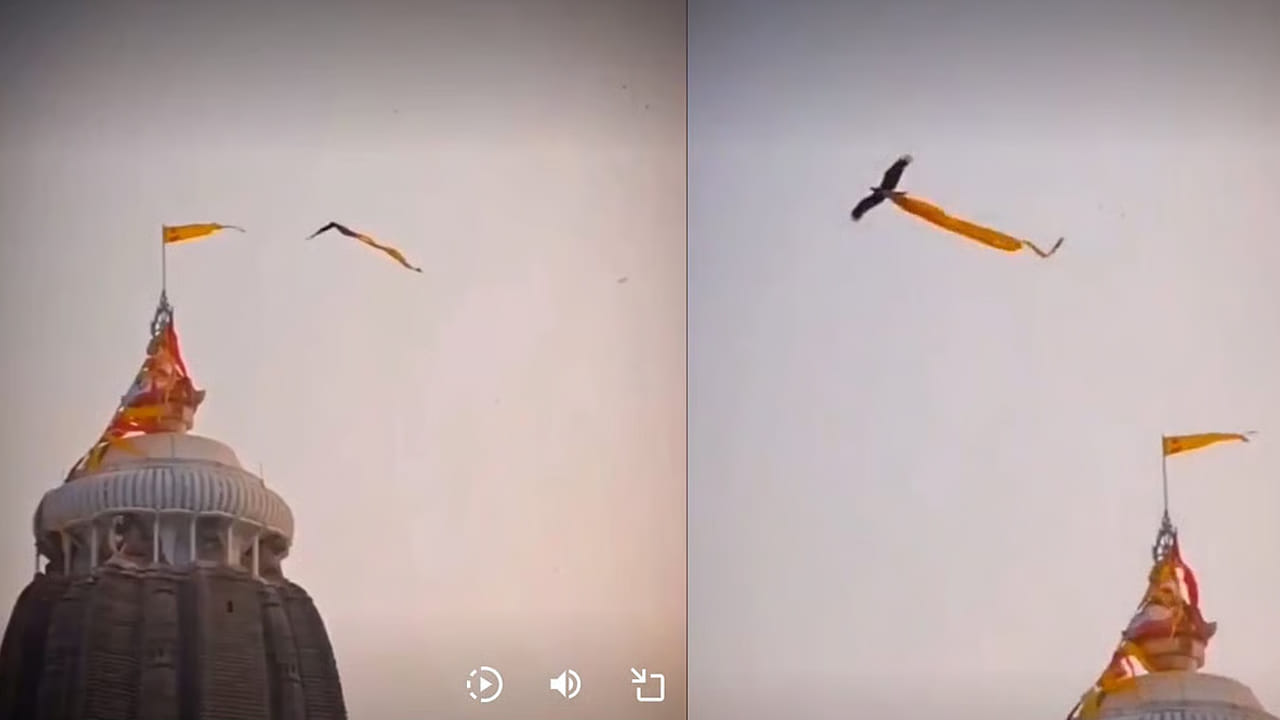 పూరీ ఆలయంలో అద్భుతం.. మరోసారి గోపురం జెండాపై వాలిన గరుడ పక్షి.. నెట్టింట వైరల్