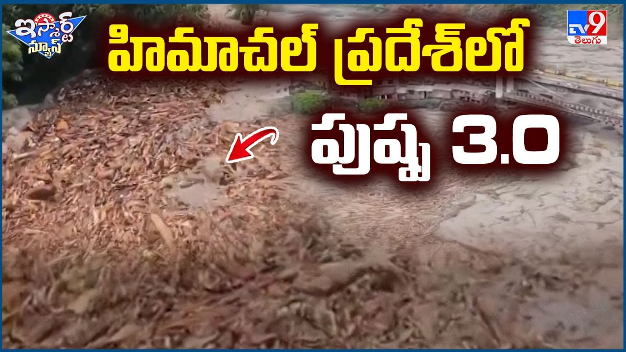 Video: హిమాచల్ ప్రదేశ్ లో పుష్ప 3.0.. వీడియో