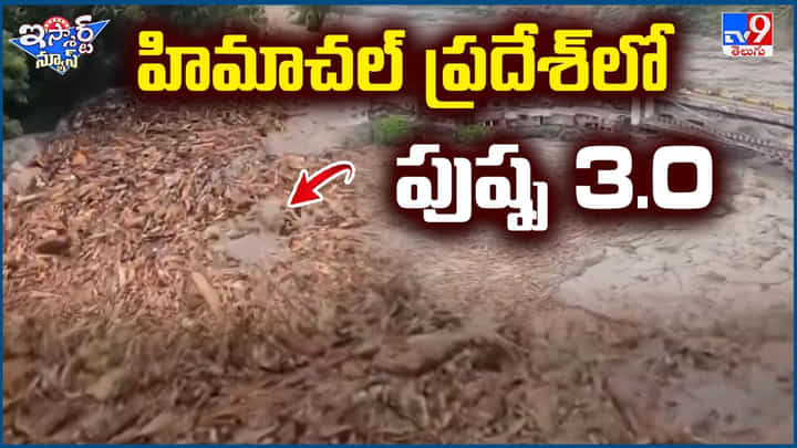 Video: హిమాచల్ ప్రదేశ్ లో పుష్ప 3.0.. వీడియో Video: హిమాచల్ ప్రదేశ్ లో పుష్ప 3.0.. వీడియో