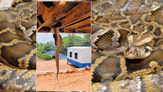 ఆ దేశంలో విదేశీ షోలు చూసినా, షేర్ చేసినా మరణ శిక్షే.. ఆధునిక నియంత సరికొత్త ఆర్డర్.