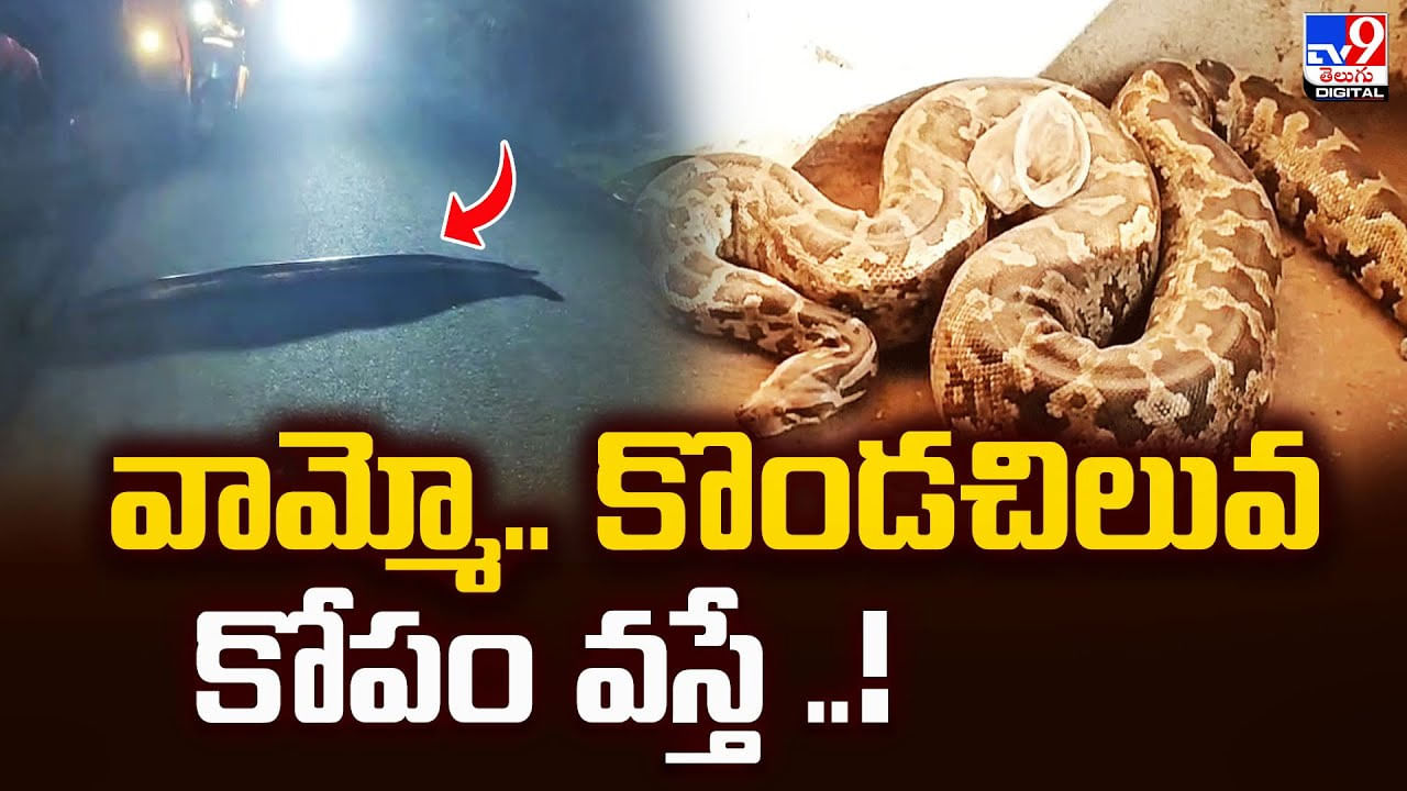 కొండ చిలువ దాడి చేస్తే ఏ రేంజ్‌లో ఉంటుందంటే