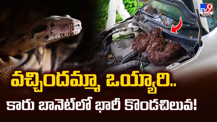 వచ్చిందమ్మా వయ్యారి.. కారు బానెట్లో భారీ కొండచిలువ వచ్చిందమ్మా వయ్యారి.. కారు బానెట్లో భారీ కొండచిలువ