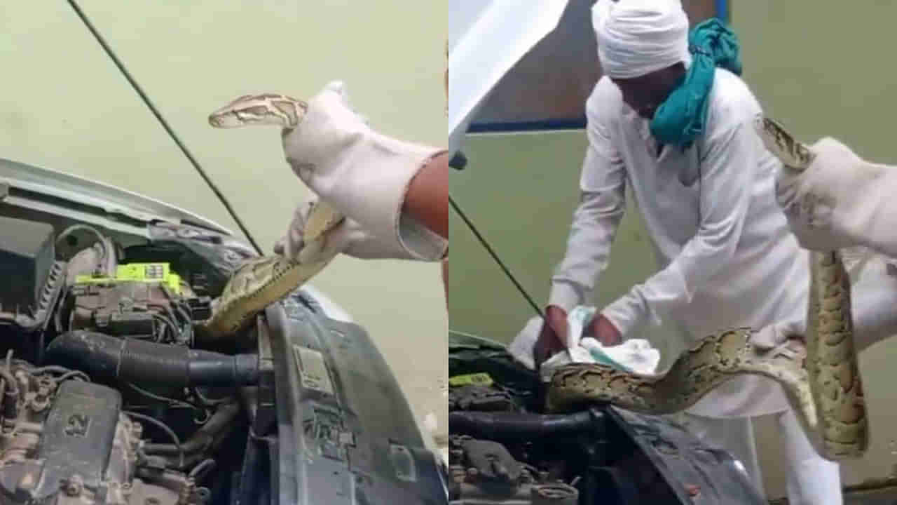 Viral Video: వామ్మో ఎంత పెద్దదో.. కారు ఇంజన్‌లో వెచ్చగా బజ్జుంది... ఏవో సౌండ్స్‌ వస్తున్నాయని బ్యానెట్‌ ఓపెన్‌ చేసిన ఓనర్‌ షాక్‌