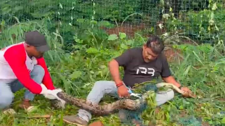 Vizag: ఆటల్లో మునిగిన జనాలు.. పక్కనే ఉన్న పొదల నుంచి చప్పుళ్లు.. వెళ్లి చూడగా బాబోయ్.. Vizag: ఆటల్లో మునిగిన జనాలు.. పక్కనే ఉన్న పొదల నుంచి చప్పుళ్లు.. వెళ్లి చూడగా బాబోయ్..