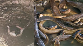 Viral Video: ఫ్లైట్ ఆలస్యమైందని.. ఎయిర్‌పోర్టులో ప్రయాణికులు ఏం చేశారంటే..