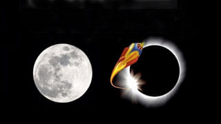 Ekadashi Tulsi Puja: రేపే ఏకాదశి.. సిరి సంపదల కోసం తులసిని ఎలా పూజించాలి? విష్ణువు, లక్ష్మీదేవి అనుగ్రహం మీ సొంతం..