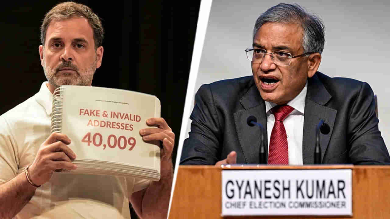 ఓట్ల తొలగింపుపై రాహుల్‌ ఆరోపణలు అర్ధరహితం.. ఆన్‌లైన్‌లో ఓట్ల తొలగింపు అసాధ్యం: ఈసీ