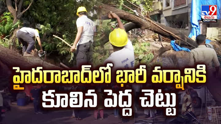 హైదరాబాద్ లో భారీ వర్షానికి కూలిన పెద్ద చెట్టు వీడియో హైదరాబాద్ లో భారీ వర్షానికి కూలిన పెద్ద చెట్టు వీడియో