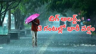 రూ. 150 కొట్టు మేకను పట్టు.. మందు, కోళ్లు, బీర్లు కూడా.. దసరా బంపర్ ఆఫర్, ఎక్కడంటే..?