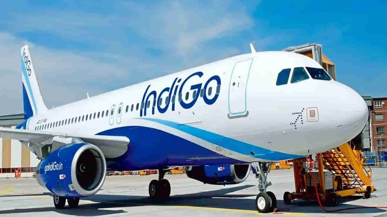 Rat on Board: ఇండిగో విమానంలో ఎలుక, భయాందోళనకు గురైన ప్రయాణికులు.. విమానం 3 గంటలు లేటు..
