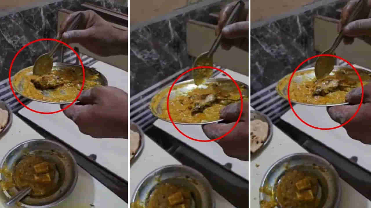 పన్నీర్ కర్రీలో చనిపోయిన ఎలుక..! పాపం అప్పటికే సగం కర్రీ తిన్నాడు..