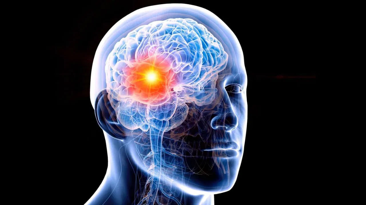 Reels Effect On Brain