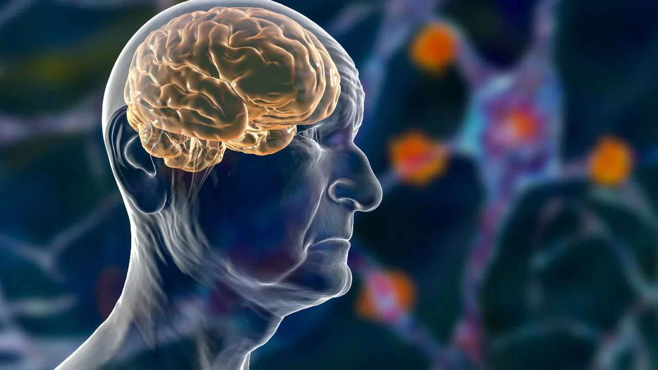 Reels Effect On Brain