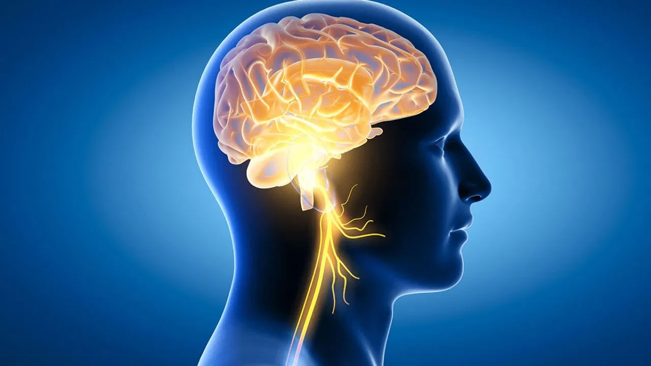 Reels Effect On Brain