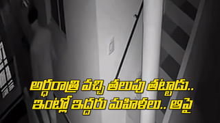 Viral Video: కొండచిలువ, నాగుపాము మధ్య భీకర యుద్ధం.. వీడియో చూస్తే వణికిపోవాల్సిందే..!