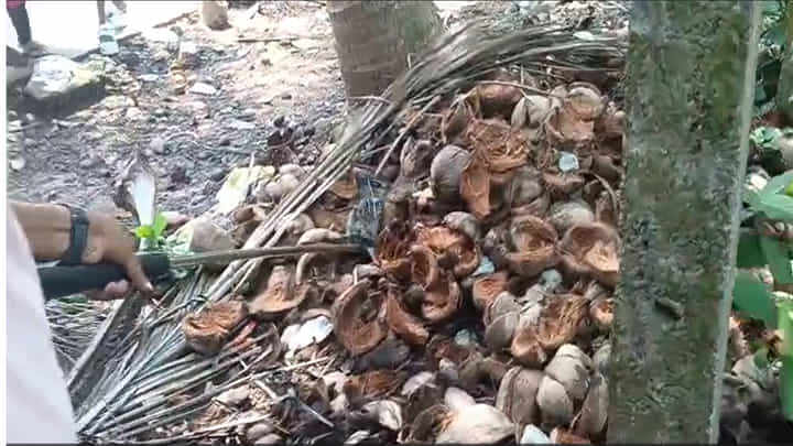 Andhra: డొక్కల గూడులో ఏదో కదులుతూ కనిపించింది.. ఏంటా అని చూడగా Andhra: డొక్కల గూడులో ఏదో కదులుతూ కనిపించింది.. ఏంటా అని చూడగా