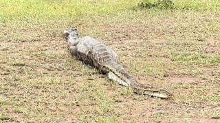 బిడ్డ‌ను ఫ్రీజర్ లో పెట్టి మ‌రిచిపోయిన త‌ల్లి.. చివరకు