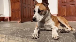 చెరొక బ్యాగుతో ఇబ్రహీంపట్నంలో తిరుగుతున్న అక్కాతమ్ముడు.. అనుమానం వచ్చి చెక్ చేయగా..