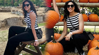 Dimple Hayathi: నేచురల్ లుక్‌లో కట్టిపడేస్తున్న డింపుల్ హయాతి.. కుర్రాళ్లు ఫిదా..