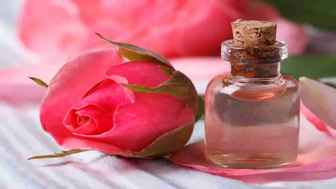 Rose Water: రోజ్ వాటర్‌తో మచ్చలేని చర్మం.. ఇలా వాడితే చాలు మెరిసే అందం మీ సొంతం..!