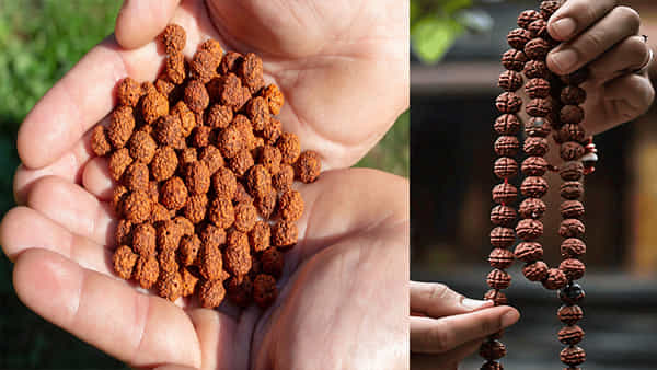 Rudraksha: స్విట్జర్లాండ్లో రుద్రాక్షకు భారీ డిమాండ్.. ధర వింటే షాకవ్వాల్సిందే..!