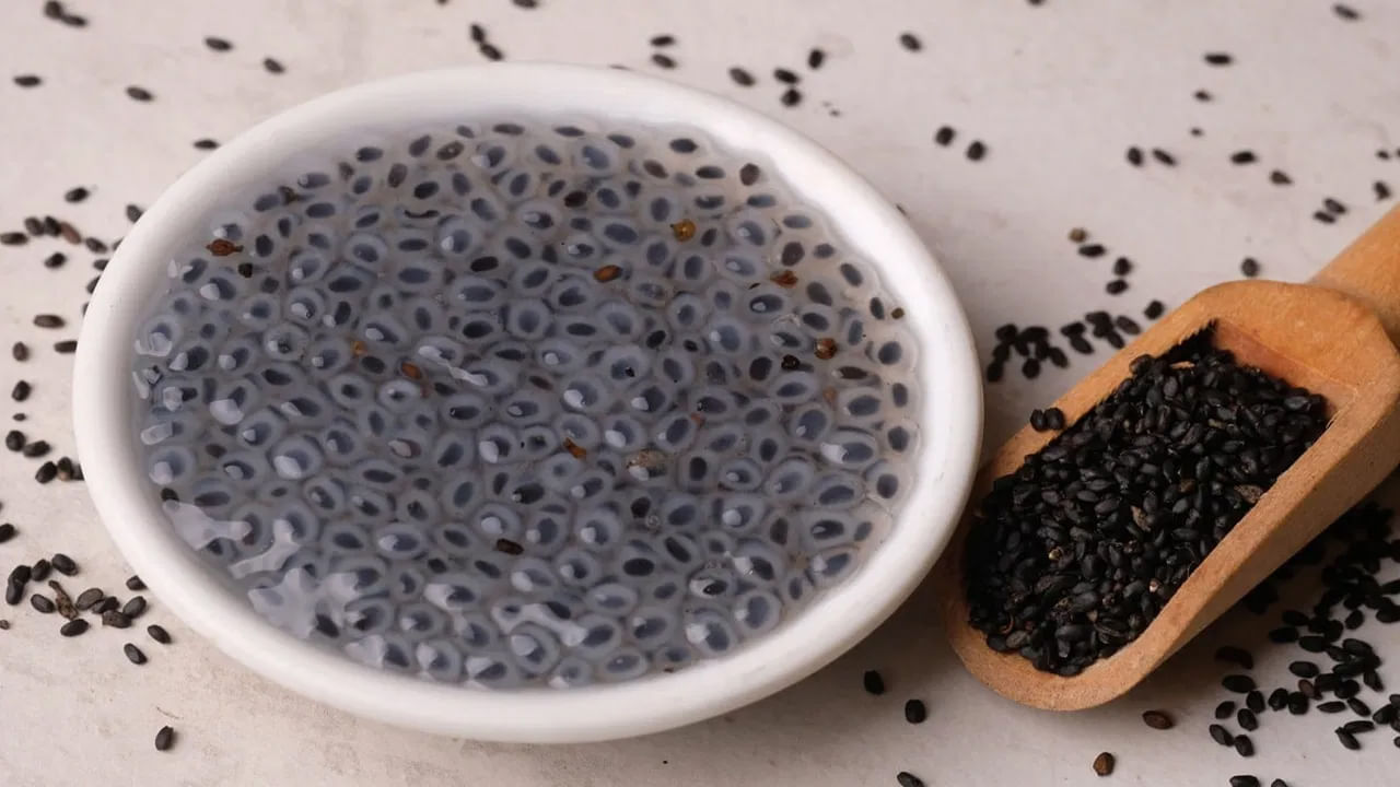 ప్రోటీన్: చియా గింజల్లో సబ్జా సీడ్స్ కంటే కొంచెం ఎక్కువ ప్రోటీన్ ఉంటుంది. ప్రోటీన్ ఆకలిని తగ్గించి, కండర శక్తిని కాపాడుకోవడానికి సహాయపడుతుంది. సబ్జా సీడ్స్లో చియా విత్తనాల కంటే కొద్దిగా తక్కువ క్యాలరీలు ఉంటాయి. మీరు క్యాలరీల గురించి ఆలోచిస్తుంటే ఇది ముఖ్యమైనది కావచ్చు.