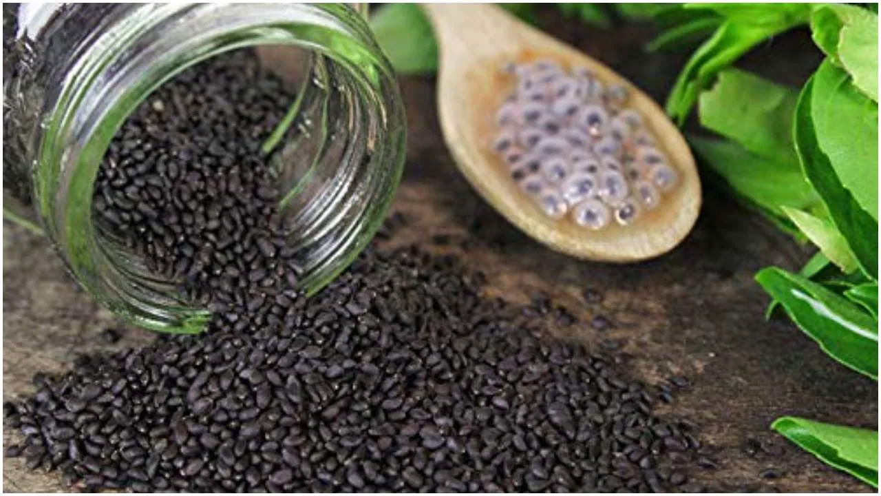 విటమిన్లు - మినరల్స్: సబ్జా సీడ్స్ విటమిన్ ఎ, విటమిన్ కె, విటమిన్ సి వంటి విటమిన్లతో నిండి ఉంటే.. చియా సీడ్స్ కాల్షియం, మెగ్నీషియం, పాస్ఫరస్ వంటి ఖనిజాలతో సమృద్ధిగా ఉంటుంది.