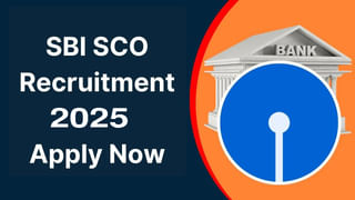 CM Chandrababu: కొత్త కలెక్టర్లతో సీఎం చంద్రబాబు వీడియో కాన్ఫరెన్స్‌.. కీలక సూచనలు జారీ!