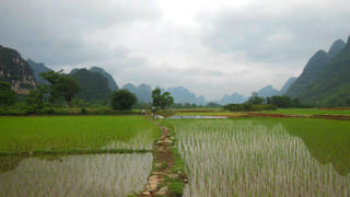 Viral: పురిటి నొప్పులతో అస్పత్రికొచ్చిన గర్భవతి.. కడుపులో ఉన్న పిండం ఎక్స్‌రే తీయగా