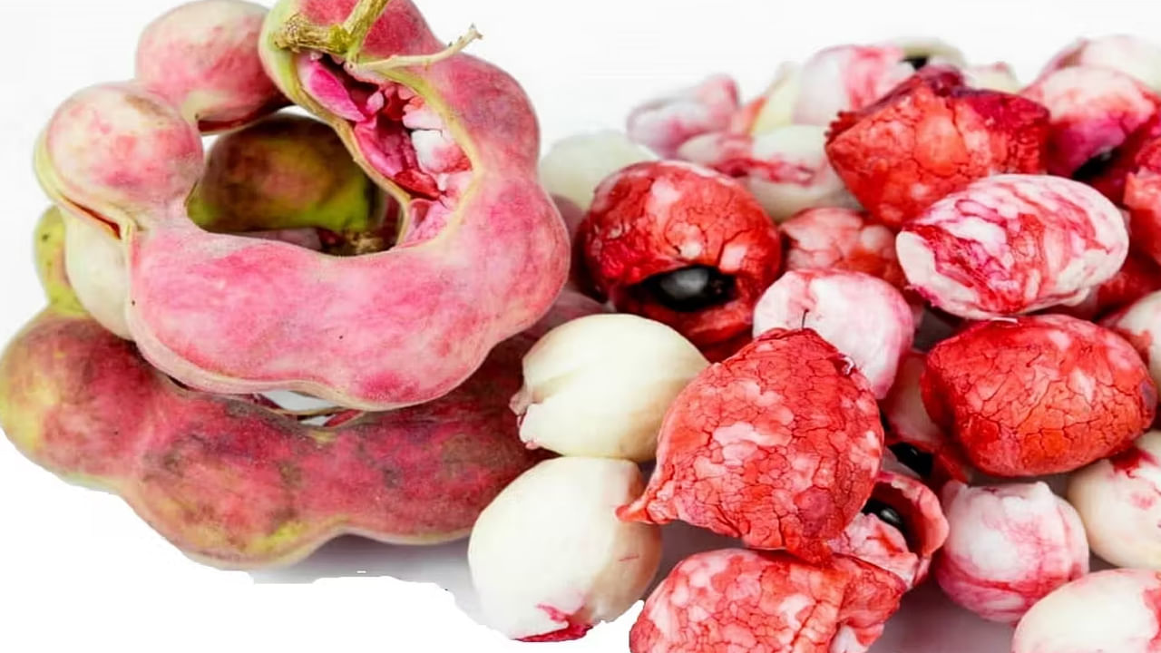 సీమ చింతలో యాంటీ ఆక్సిడెంట్స్ ఉంటాయి. ఇవి వృద్ధాప్య ఛాయలను అరికడుతుంది. సీమ చింత గర్భిణీ స్త్రీలకు మంచి పోషకాలను అందిస్తుంది. నీరసం తగ్గిస్తుంది. ఈ కాయలలో క్యాల్షియం అధికంగా ఉంటుంది. ఇది తల్లితో పాటు పుట్టబోయే బిడ్డ ఎముకలు సైతం ధృడంగా ఉంచుతుంది. 