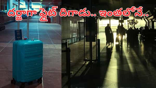 Hyderabad: ఎయిర్పోర్టులో లగేజీ స్కానింగ్ చేస్తుండగా.. కదులుతూ కనిపించిన ఆకారం.. కట్ చేస్తే..