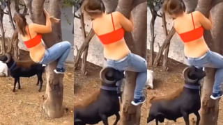 ఊహించని ఘటన.. డోల్ మేళాలో జూలా నుంచి పడిపోయిన యువతి.. వీడియో వైరల్