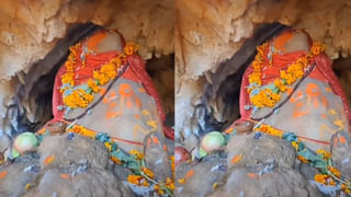 Viral Video: అడవి పందిని చూసి భయంతో పారిపోయిన చిరుత.. షాకింగ్ వీడియో వైరల్