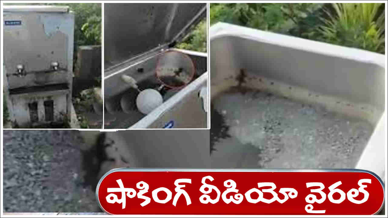 Viral Video: ఇది చూశారంటే పెట్రోల్‌ బంకుల్లో నీళ్లు తాగాలంటేనే భయపడిపోతారు.. షాకింగ్‌ వీడియో వైరల్‌