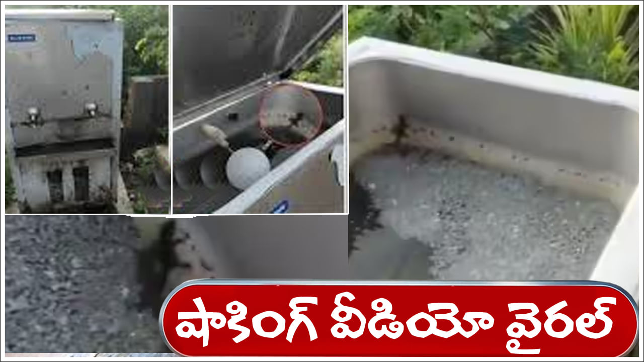 Viral Video: ఇది చూశారంటే పెట్రోల్‌ బంకుల్లో నీళ్లు తాగాలంటేనే భయపడిపోతారు.. షాకింగ్‌ వీడియో వైరల్‌