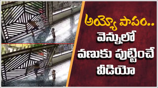 Viral Video: వధువుకి 27 ఏళ్ళు.. వరుడికి 72 ఏళ్లు.. హిందూ సంప్రదాయంలో పెళ్లి చేసుకున్న ప్రేమ పక్షులు
