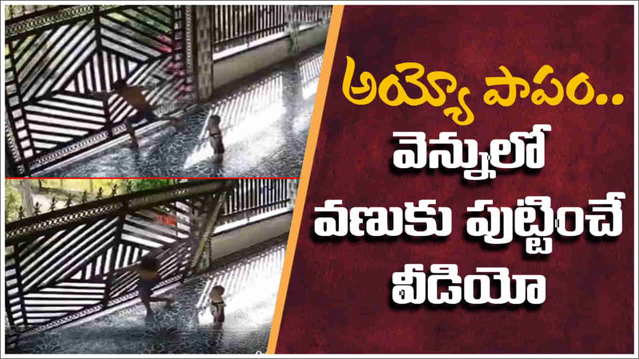 Viral Video: చిన్నారి బయటకు వెళ్లకుండా గేటు వేశాడు.. కట్‌ చేస్తే.. వెన్నులో వణుకు పుట్టించే వీడియో