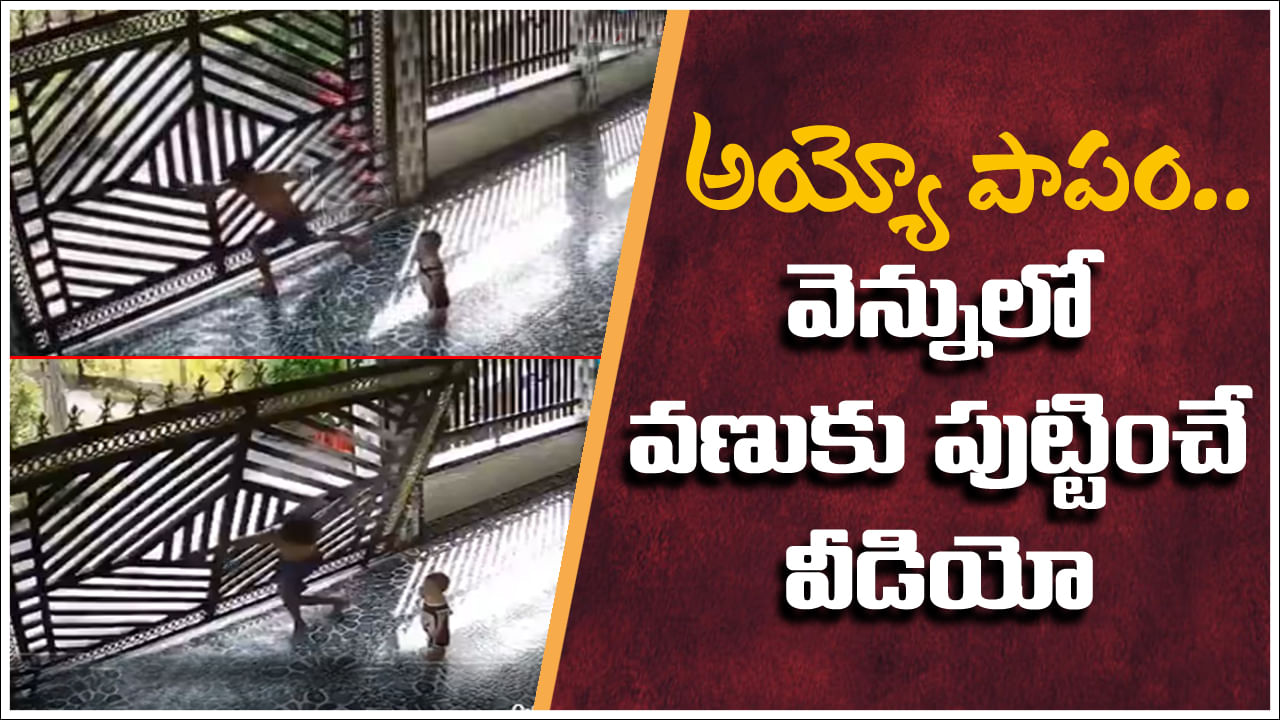 Viral Video: చిన్నారి బయటకు వెళ్లకుండా గేటు వేశాడు.. కట్‌ చేస్తే.. వెన్నులో వణుకు పుట్టించే వీడియో