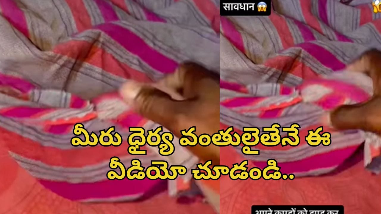 Watch Video: పడుకుందామని బెడ్రూమ్లోకి వెళ్లిన యువకుడు.. దుప్పట్లో వింత శబ్ధాలు.. ఏంటా అని చూడగా..