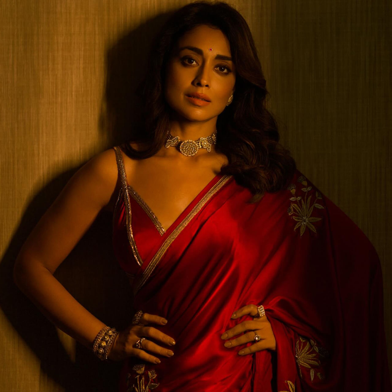 తెలుగులో ఒకప్పుడు టాప్ హీరోయిన్. మెగాస్టార్ చిరంజీవి, బాలకృష్ణ, నాగార్జున, వెంకటేశ్, ఎన్టీఆర్, ప్రభాస్ వంటి స్టార్ హీరోలతో ఎన్నో సూపర్ హిట్ చిత్రాల్లో నటించి మెప్పించింది. ఇప్పుడు సినిమాల్లో సహయ నటిగా కొనసాగుతుంది.