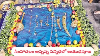 Andhra: ఇది తేనెతుట్టెనో, కందిరీగల గూడో అనుకునేరు.. ప్రాణాలు పోతాయ్..