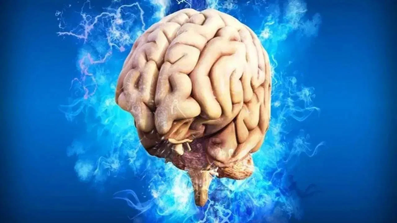 సిగరెట్లు తాగడం వల్ల జ్ఞాపకశక్తి కూడా దెబ్బతింటుందని, చిత్తవైకల్యం వచ్చే ప్రమాదం పెరుగుతుందని కూడా వీరి అధ్యయనంలో తేలింది. ఇది రోగనిరోధక శక్తిని కూడా తగ్గిస్తుంది. 