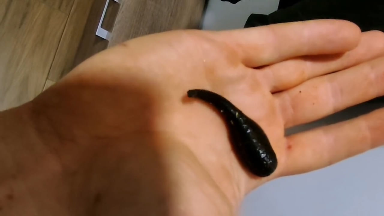 Viral Video: చేపల వేటకు వెళ్లి వచ్చాడు.. కాలు ఏదో దురదగా ఉందన్నాడు.. షూ తీసి చూడగా